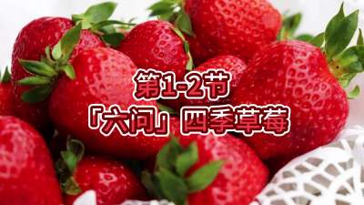 第1-2节-「六问」四季草莓