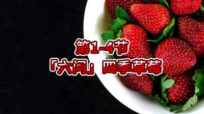 第1-4节-「六问」四季草莓