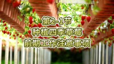 第2-1节-种植四季草莓前期工作注意事项