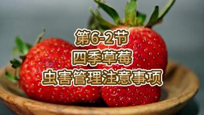第6-2节-四季草莓病虫害管理注意事项