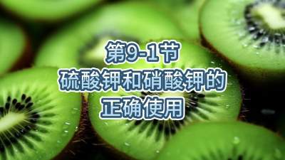 第9-1节-硫酸钾和硝酸钾的正确使用