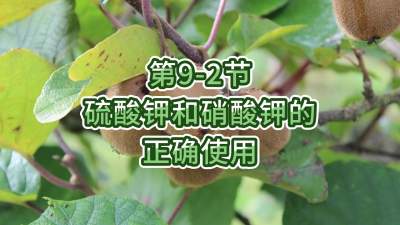 第9-2节-硫酸钾和硝酸钾的正确使用