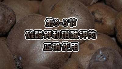 第9-3节-硫酸钾和硝酸钾的正确使用