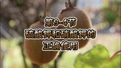 第9-4节-硫酸钾和硝酸钾的正确使用