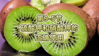 第9-5节-硫酸钾和硝酸钾的正确使用