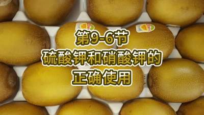 第9-6节-硫酸钾和硝酸钾的正确使用