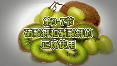 第9-7节-硫酸钾和硝酸钾的正确使用