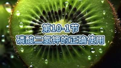 第10-1节-磷酸二氢钾的正确使用