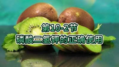 第10-2节-磷酸二氢钾的正确使用
