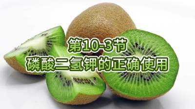 第10-3节-磷酸二氢钾的正确使用