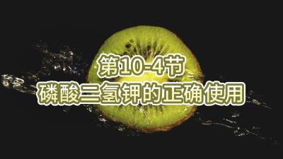 第10-4节-磷酸二氢钾的正确使用