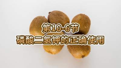 第10-6节-磷酸二氢钾的正确使用