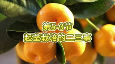 第5-3节-起垄栽培的二三事