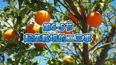 第5-5节-起垄栽培的二三事