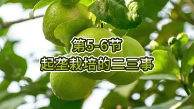 第5-6节-起垄栽培的二三事