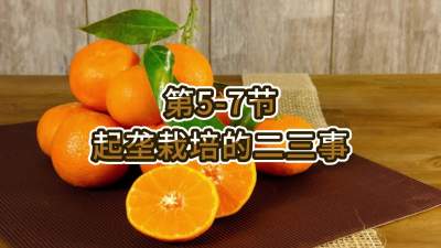 第5-7节-起垄栽培的二三事