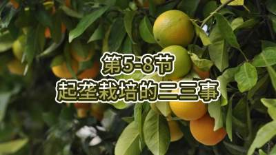 第5-8节-起垄栽培的二三事
