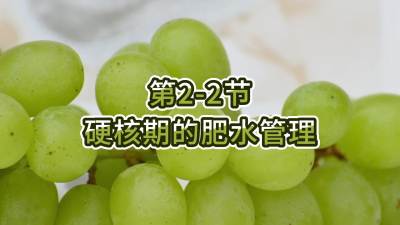 第2-2节-硬核期的肥水管理