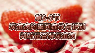 第2-3节-炭疽病的田间症状与识别-判断是否得炭疽病
