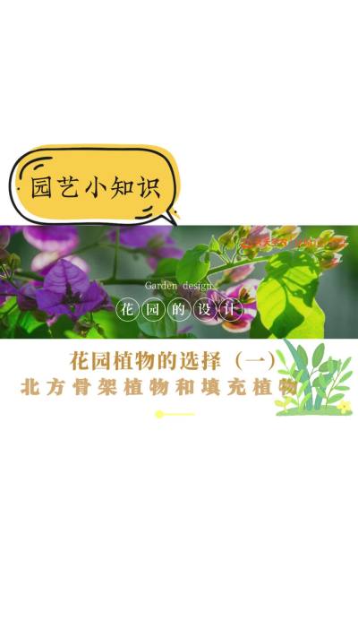 花园植物的选择&mdash;&mdash;北方骨架植物和填充植物