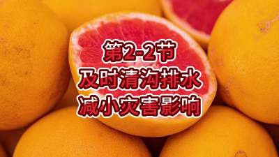 第2-2节-及时清沟排水 减小灾害影响