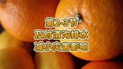 第2-3节-及时清沟排水 减小灾害影响