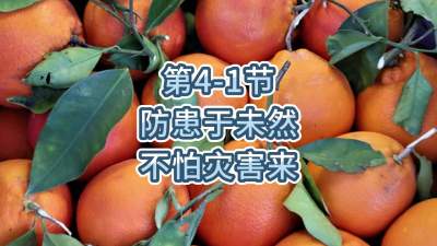 第4-1节-防患于未然 不怕灾害来