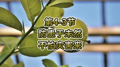 第4-3节-防患于未然 不怕灾害来