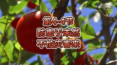 第4-4节-防患于未然 不怕灾害来