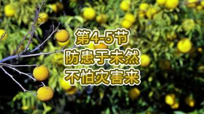 第4-5节-防患于未然 不怕灾害来