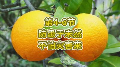 第4-6节-防患于未然 不怕灾害来