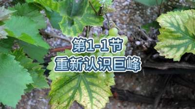 第1-1节-重新认识巨峰