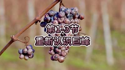 第1-3节-重新认识巨峰