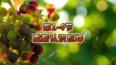 第1-4节-重新认识巨峰