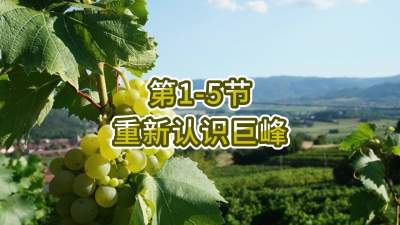 第1-5节-重新认识巨峰