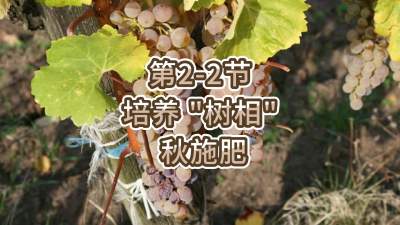 第2-2节-培养 &ldquo;树相&rdquo; &mdash;&mdash;秋施肥