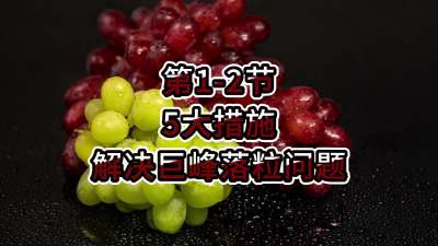 第1-2节-5大措施解决巨峰落粒问题