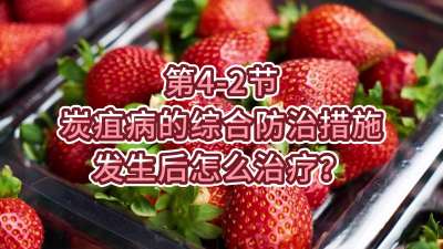 第4-2节-炭疽病的综合防治措施-发生后怎么治疗？