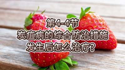 第4-4节-炭疽病的综合防治措施-发生后怎么治疗？