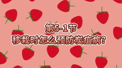 第5-1节-移栽时怎么预防炭疽病？