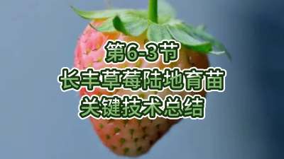第6-3节-长丰草莓陆地育苗关键技术总结