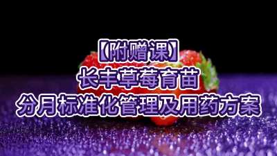 附赠课-长丰草莓育苗分月标准化管理及用药方案