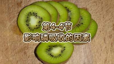 第4-4节-影响磷吸收的因素