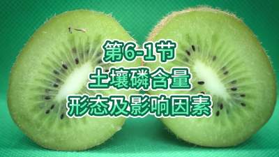 第6-1节-土壤磷含量、形态及影响因素