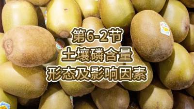 第6-2节-土壤磷含量、形态及影响因素