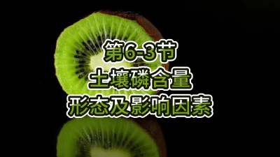 第6-3节-土壤磷含量、形态及影响因素