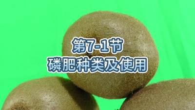 第7-1节-磷肥种类及使用