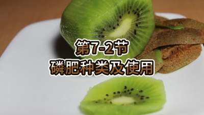 第7-2节-磷肥种类及使用