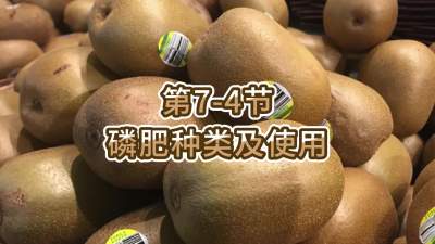 第7-4节-磷肥种类及使用