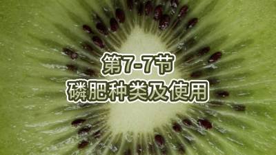 第7-7节-磷肥种类及使用